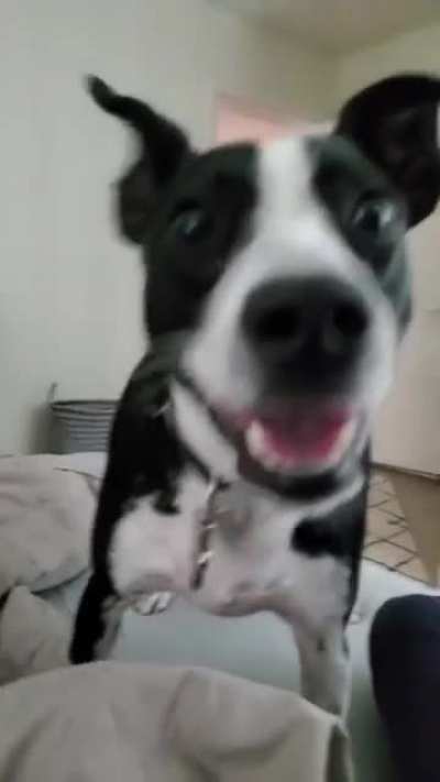 Was that a bag of snacks i heard open?