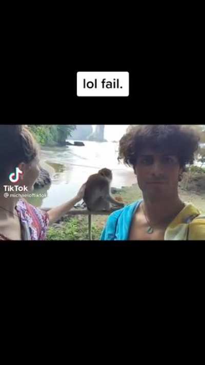 Tiktok has some gems every once in a while
