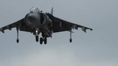 Any Love for the Harrier?