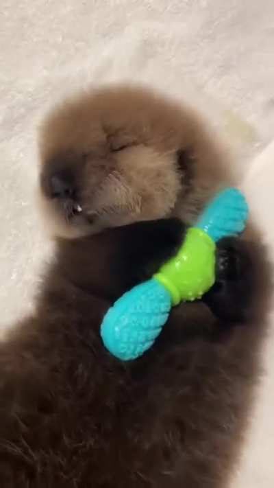 Look those teeth!😆🥰❤️
