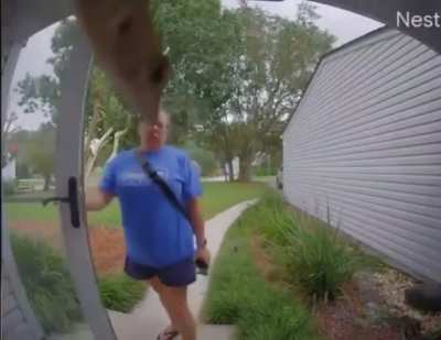 GEICO PROTEC