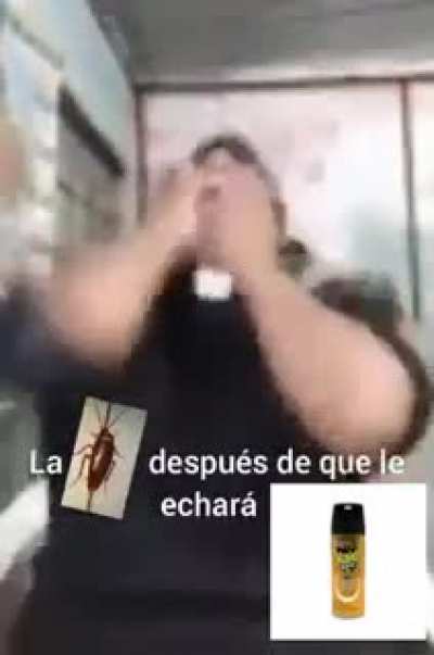 jaja