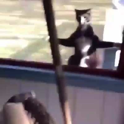 My all time favourite gif. Sorry if it's a repost