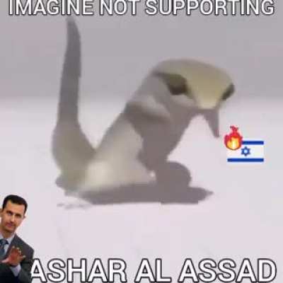 GoFundMe link down below to support bashar