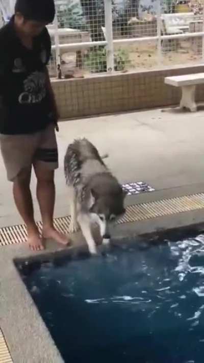 Arguing before enjoying a swim.