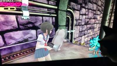 Stop Shirokuma!