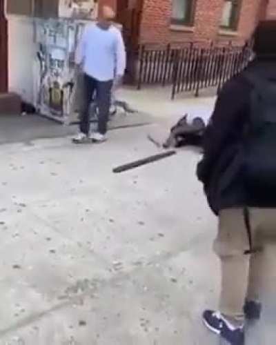 bonk!!!