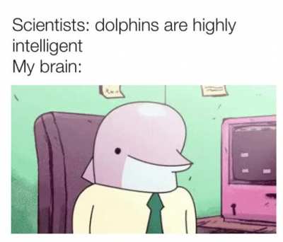 Reject humanity go to dolphy