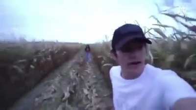 Zardy's maze