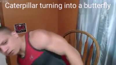 Caterpillar turning into a butterfly