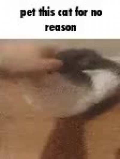 I’m going to