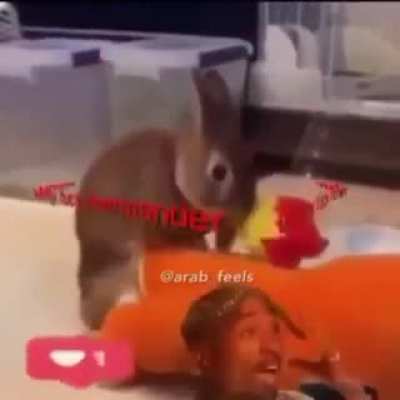 Haram squir<wbr>rel💯💯<wbr>😠😠😠0⃣<wbr>0⃣0⃣💀<wbr>💀💀💀😱😱<wbr>الله أكبرا<wbr>لله أكبرا<wbr>لله أكبر💀<wbr>💀💀💯💯💯<wbr>😵😵😵😊😡<wbr>😡😡😄💯💯<wbr>💀💀💀💩💩<wbr>😬😬😰😰😱