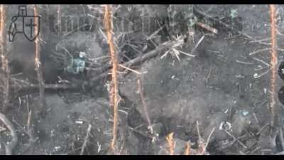 Russian soldiers executed while surrendering with their hands up