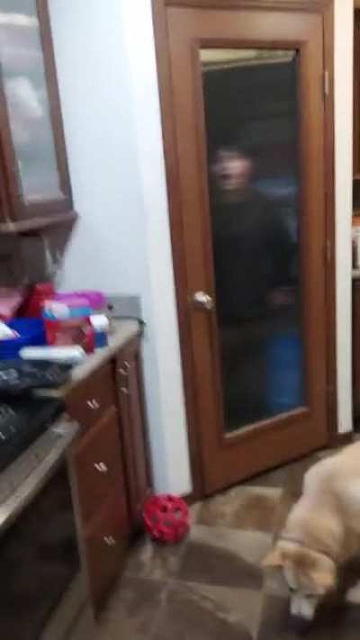 Homosexual