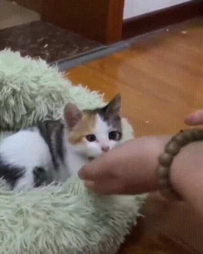 Tiny stretches