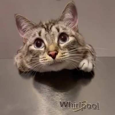 Mama.. Whatcha doing? *TapTapTap*