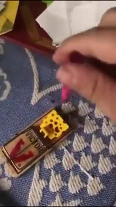 Mouse trap fun