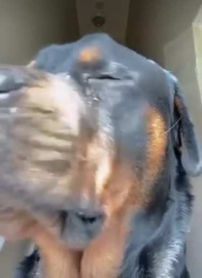TikTok Star