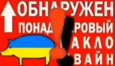 Я,,,,, 228......😔😔