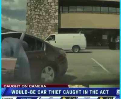 Would-be car thief wins stupid prizes.