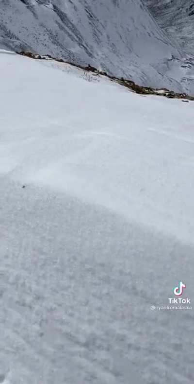 Mountain spider