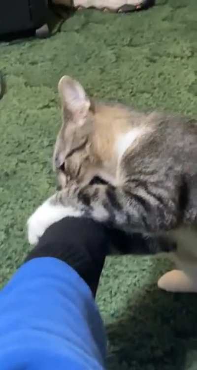 Monch