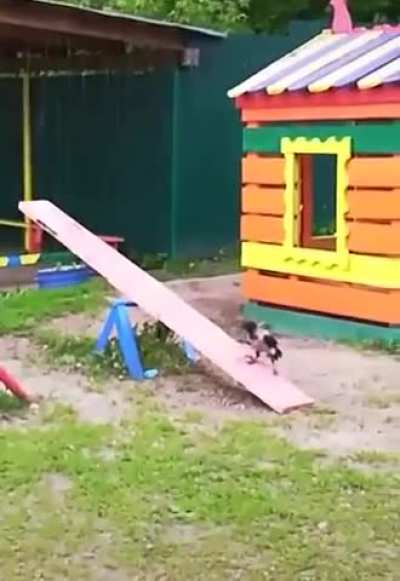 hmmm
