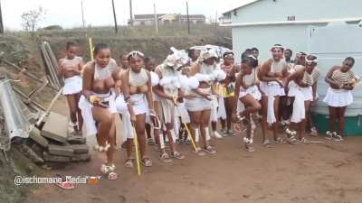 Beauty 