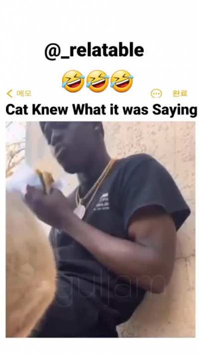 Excuse me?!