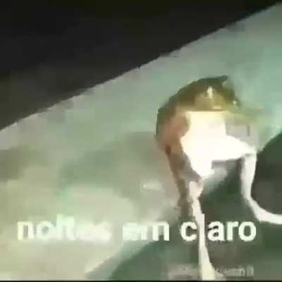 👊😞✊
