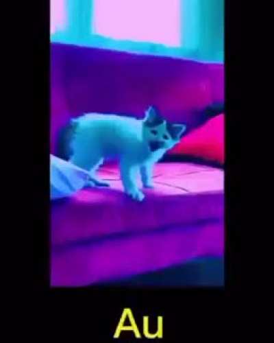 Aw.