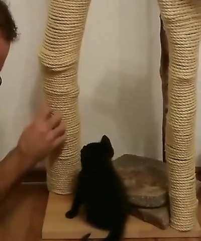 Learning to scratch