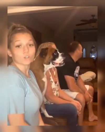 mom has no lyrics dog has lyrics 😂