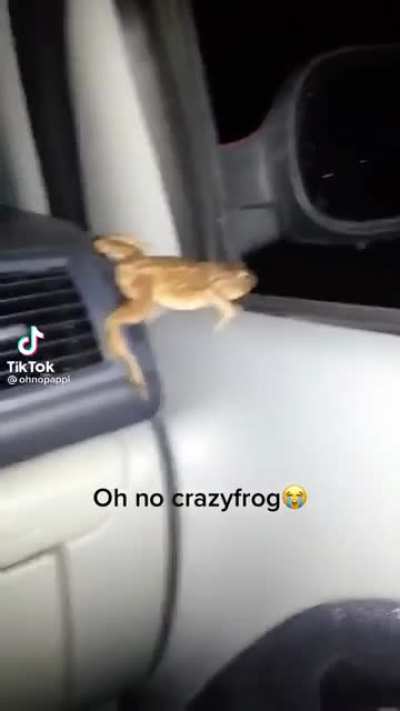 When the frog never did find a princess to kiss