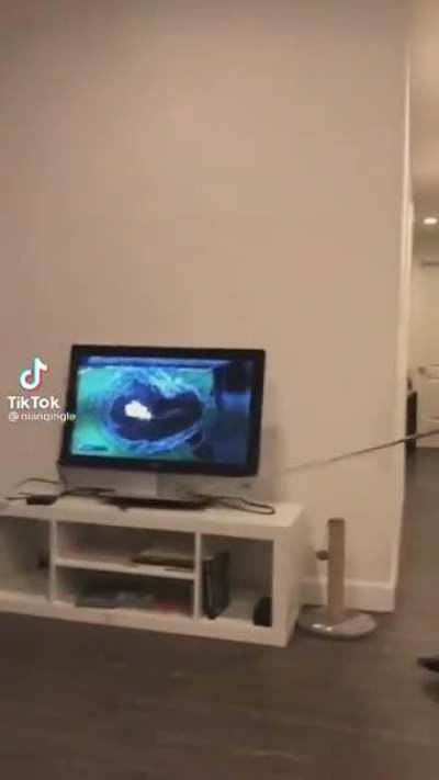 How to get a new TV