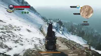 roche?