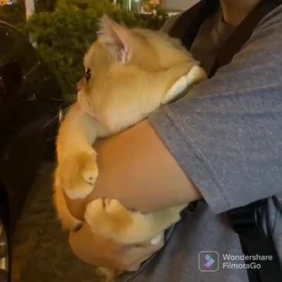 The outside world is dangerous, protect me!