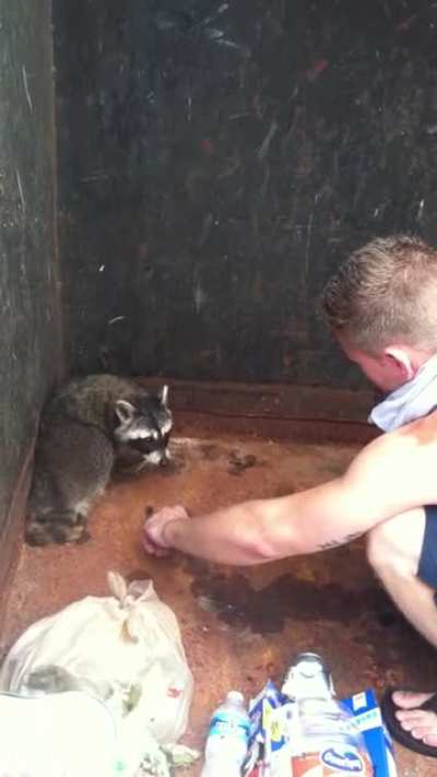 WCGW cornering a wild animal?