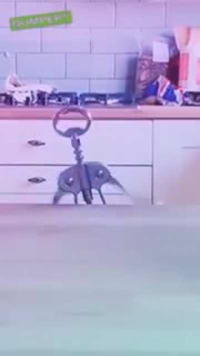 Meanwhile in the kitchen