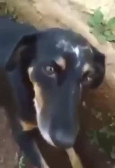 responde essa dae