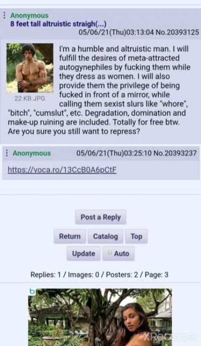 I have been using this board since 2016. This is the best thing I've ever seen in it. Vocaroo anon has my devotion now.