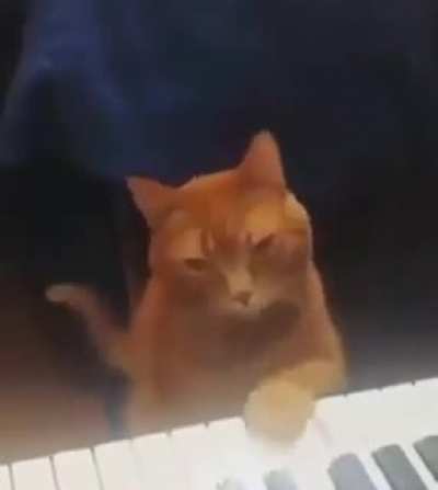 Wordington pianist
