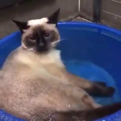 I just wanna drink