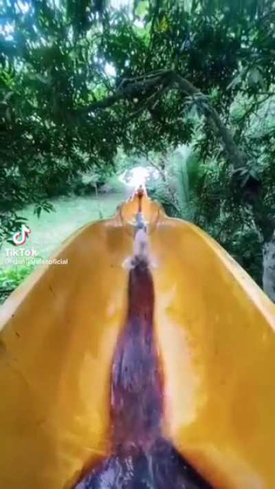 Cido volta