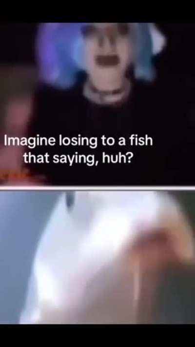 😂😂🤣🤣😂
