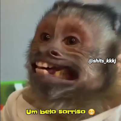 ta ai a dica