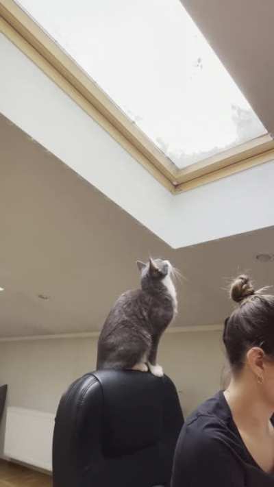 Bird in 3... 2... 1
