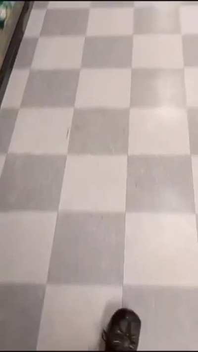 Pringles Prank