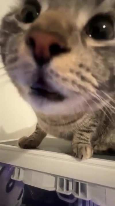 Too much nip