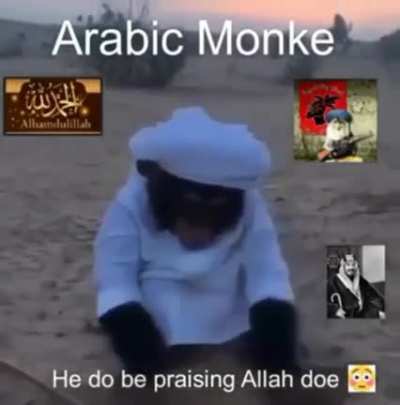 HALAL MONKE<wbr>👀👀😱😱😱<wbr>😱😱